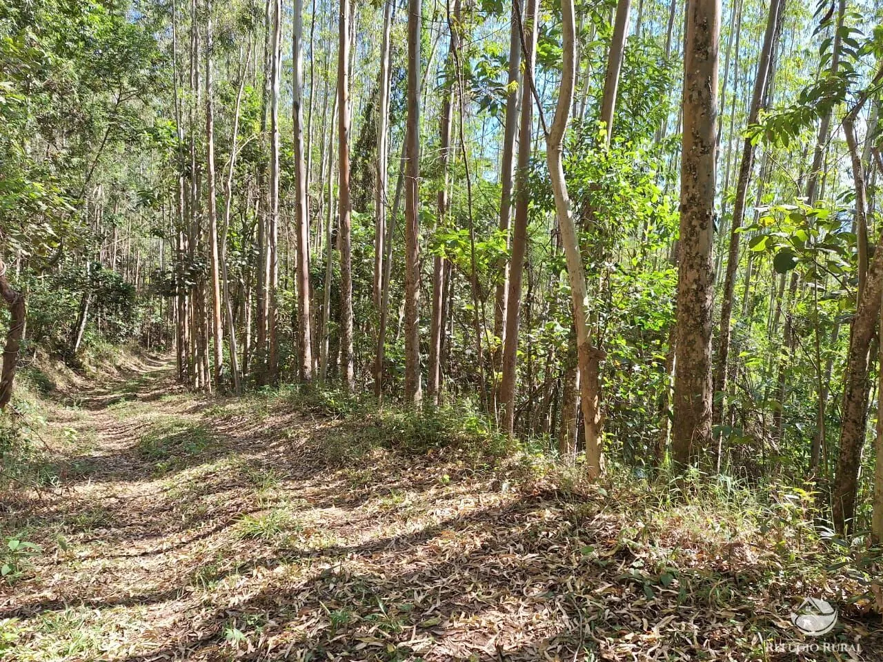 Sítio à venda de 20 ha em São José dos Campos, SP, Brasil