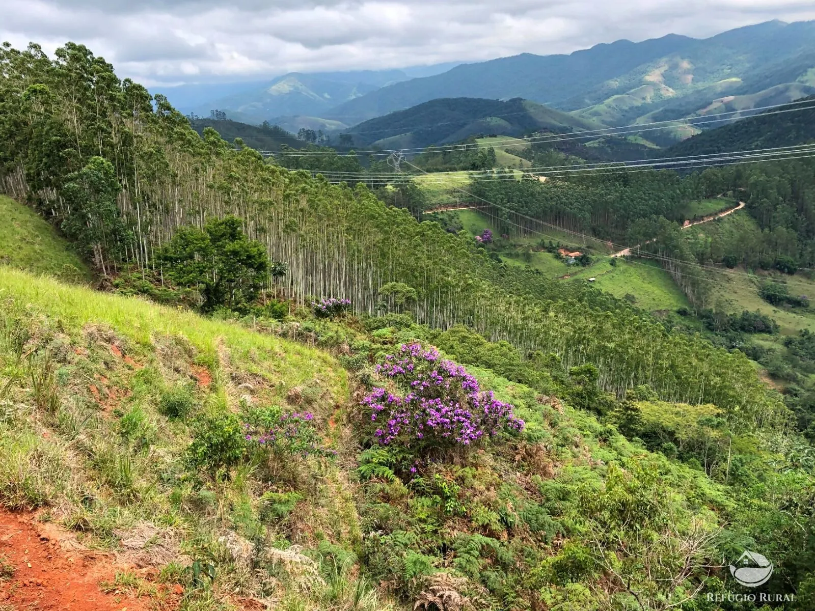 Sítio à venda de 20 ha em São José dos Campos, SP, Brasil