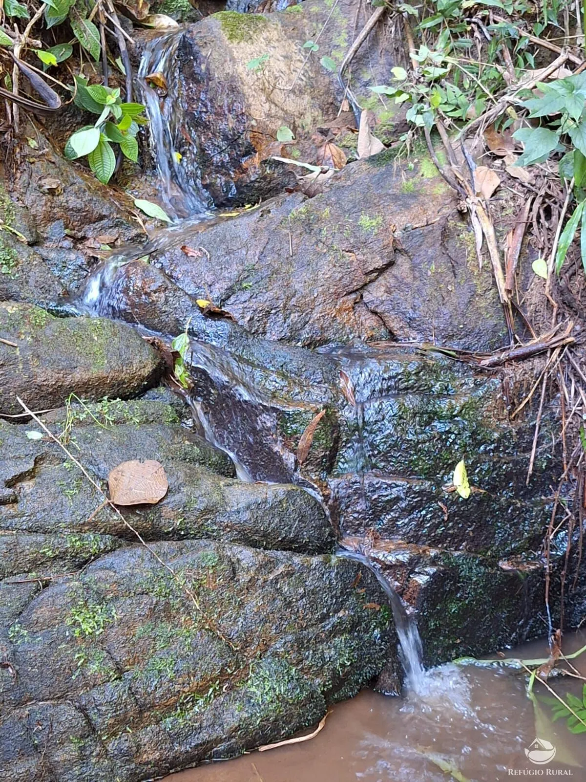 Sítio à venda de 20 ha em São José dos Campos, SP, Brasil