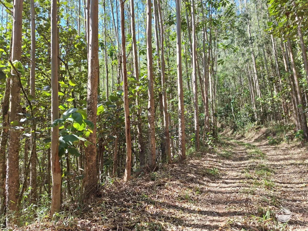 Sítio à venda de 20 ha em São José dos Campos, SP, Brasil