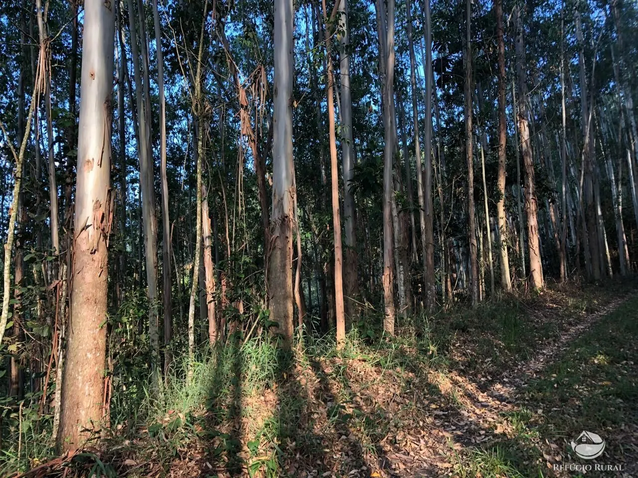 Sítio à venda de 20 ha em São José dos Campos, SP, Brasil