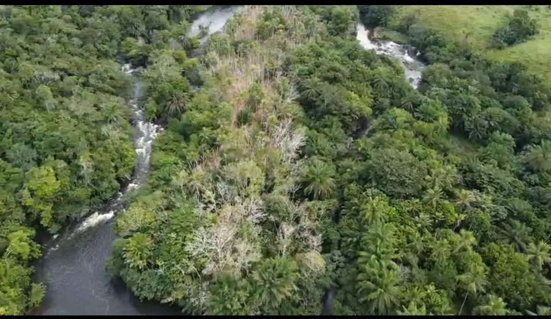 Island for sale of 3,380 acres in Una, BA, Brazil