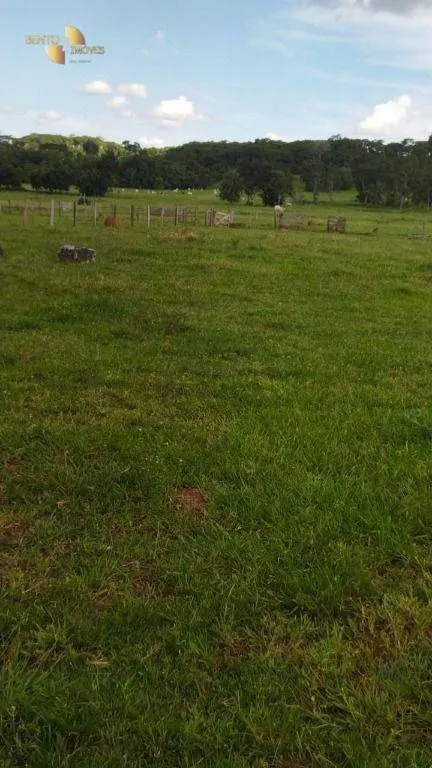 Fazenda à venda de 630 ha em Rosário Oeste, MT, Brasil