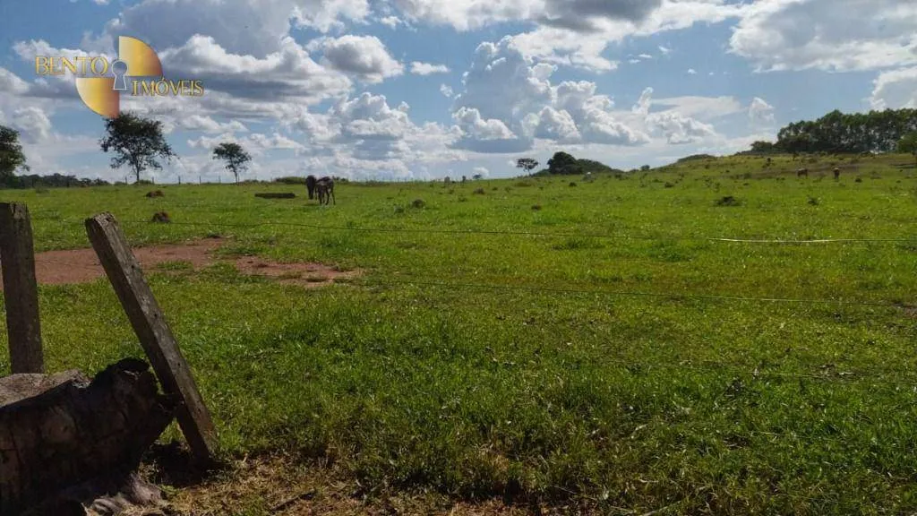 Fazenda à venda de 630 ha em Rosário Oeste, MT, Brasil