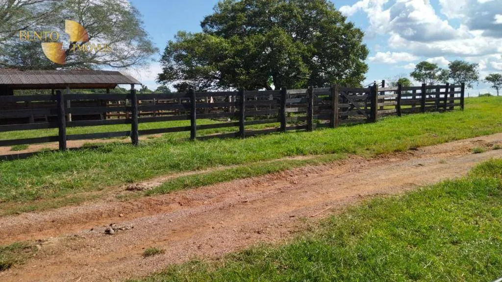 Fazenda à venda de 630 ha em Rosário Oeste, MT, Brasil