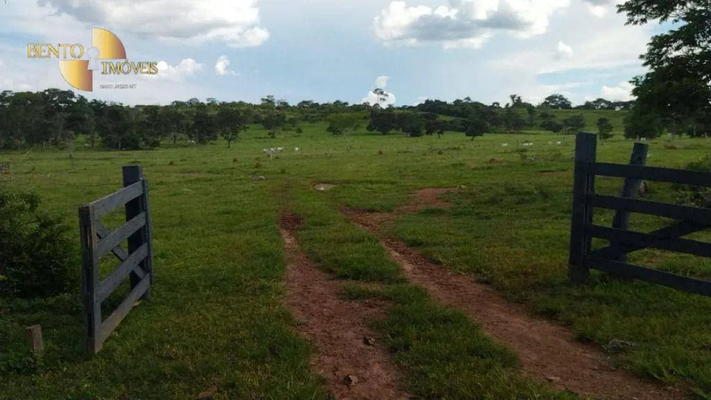 Fazenda à venda de 630 ha em Rosário Oeste, MT, Brasil