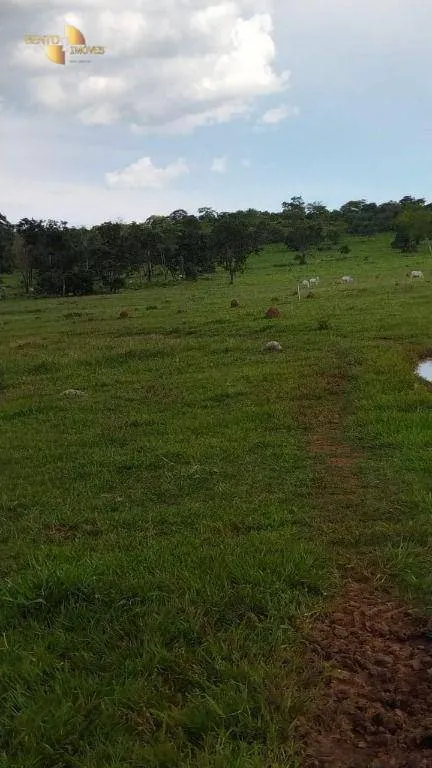 Fazenda à venda de 630 ha em Rosário Oeste, MT, Brasil