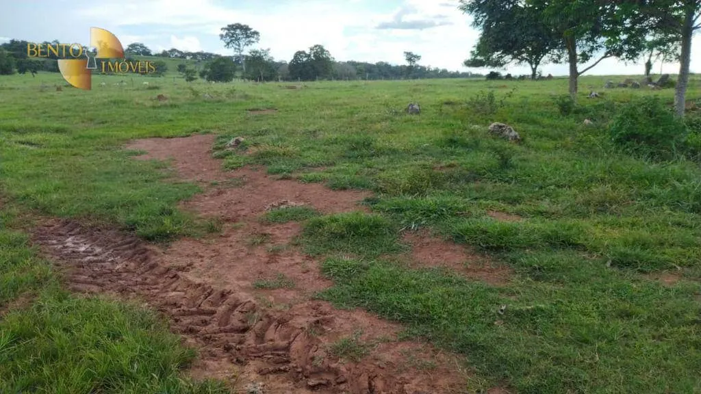 Fazenda à venda de 630 ha em Rosário Oeste, MT, Brasil