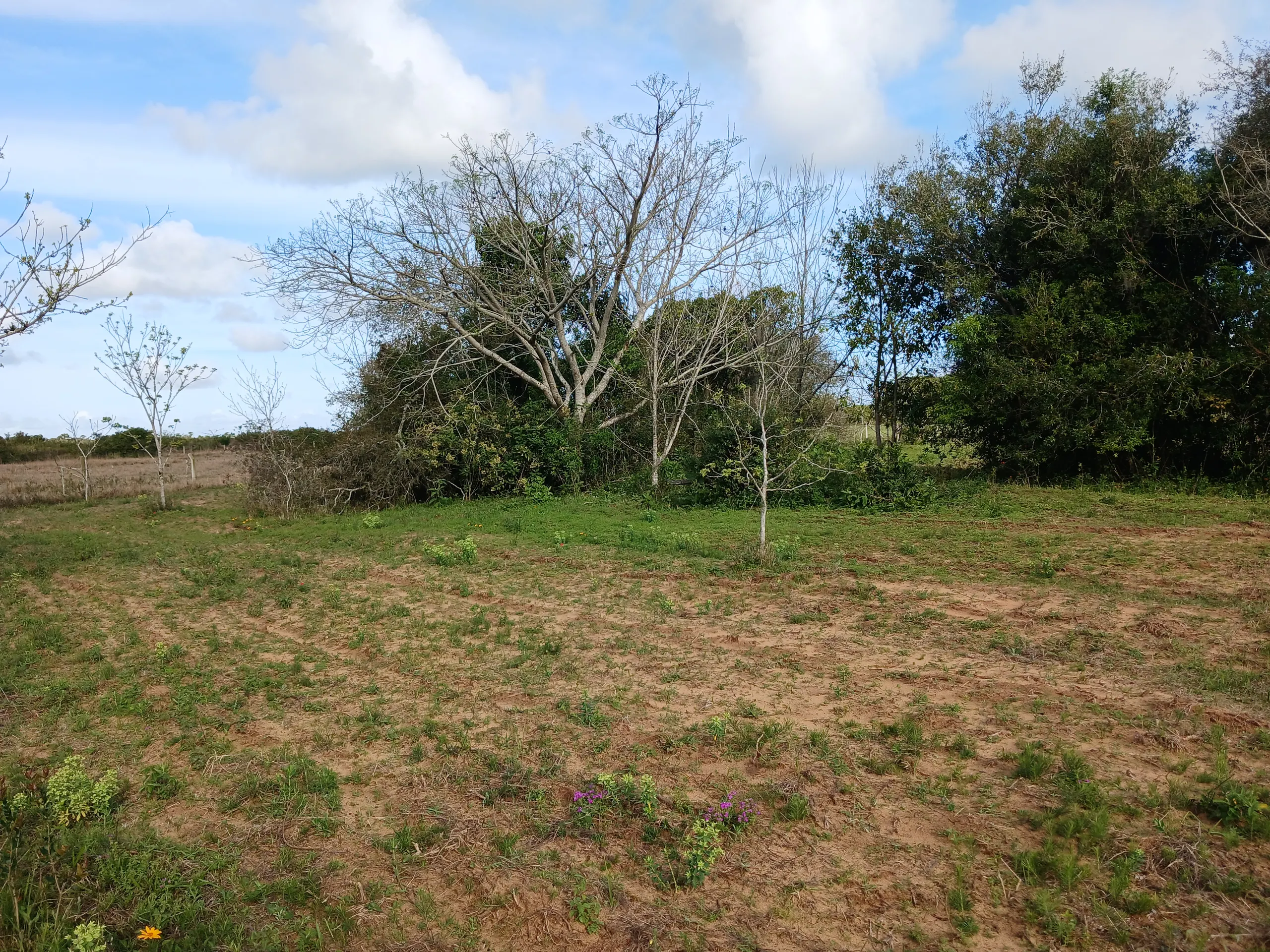 Sítio à venda de 1 ha em Viamão, RS, Brasil