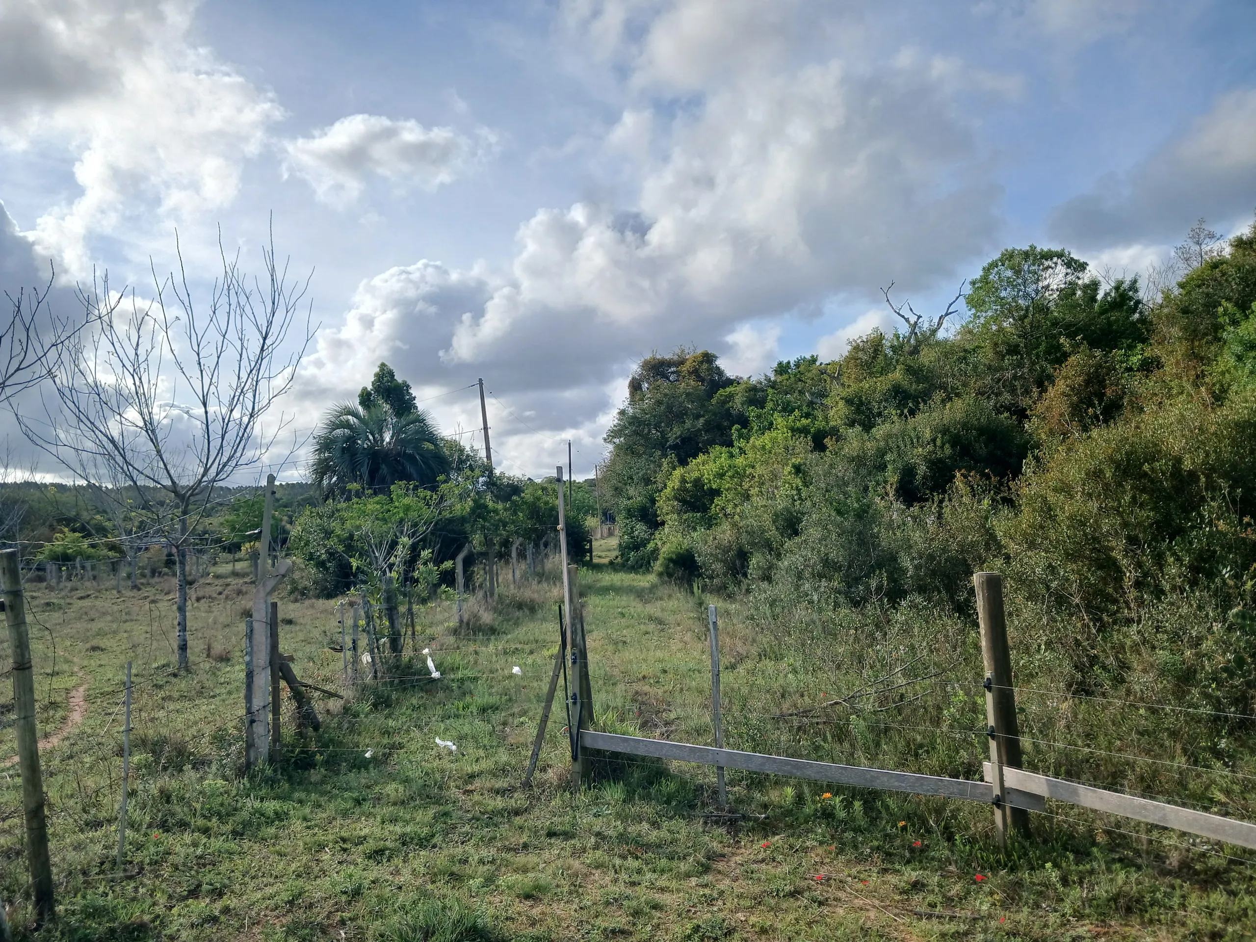 Sítio à venda de 1 ha em Viamão, RS, Brasil