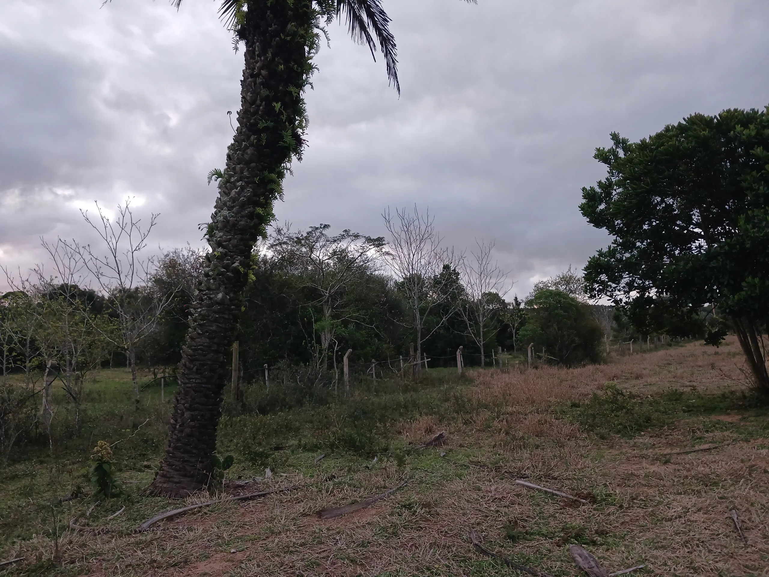 Sítio à venda de 1 ha em Viamão, RS, Brasil