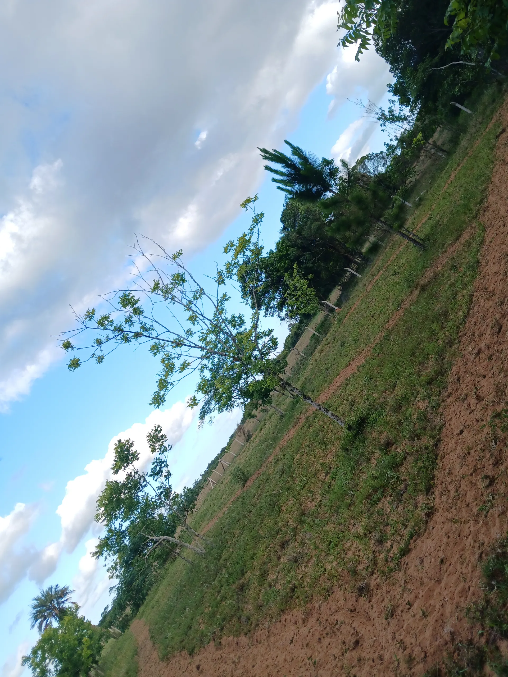 Sítio à venda de 1 ha em Viamão, RS, Brasil