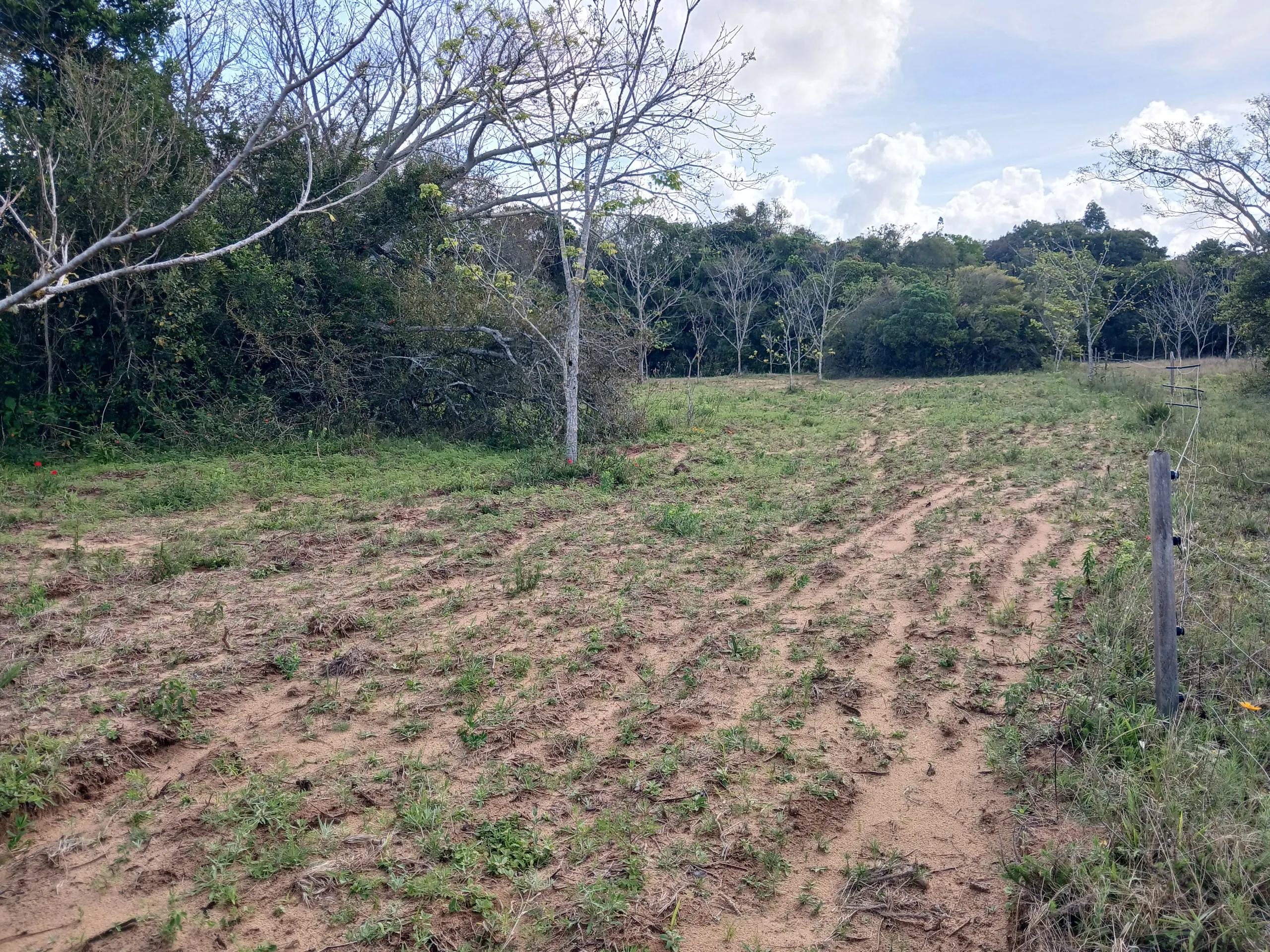 Sítio à venda de 1 ha em Viamão, RS, Brasil