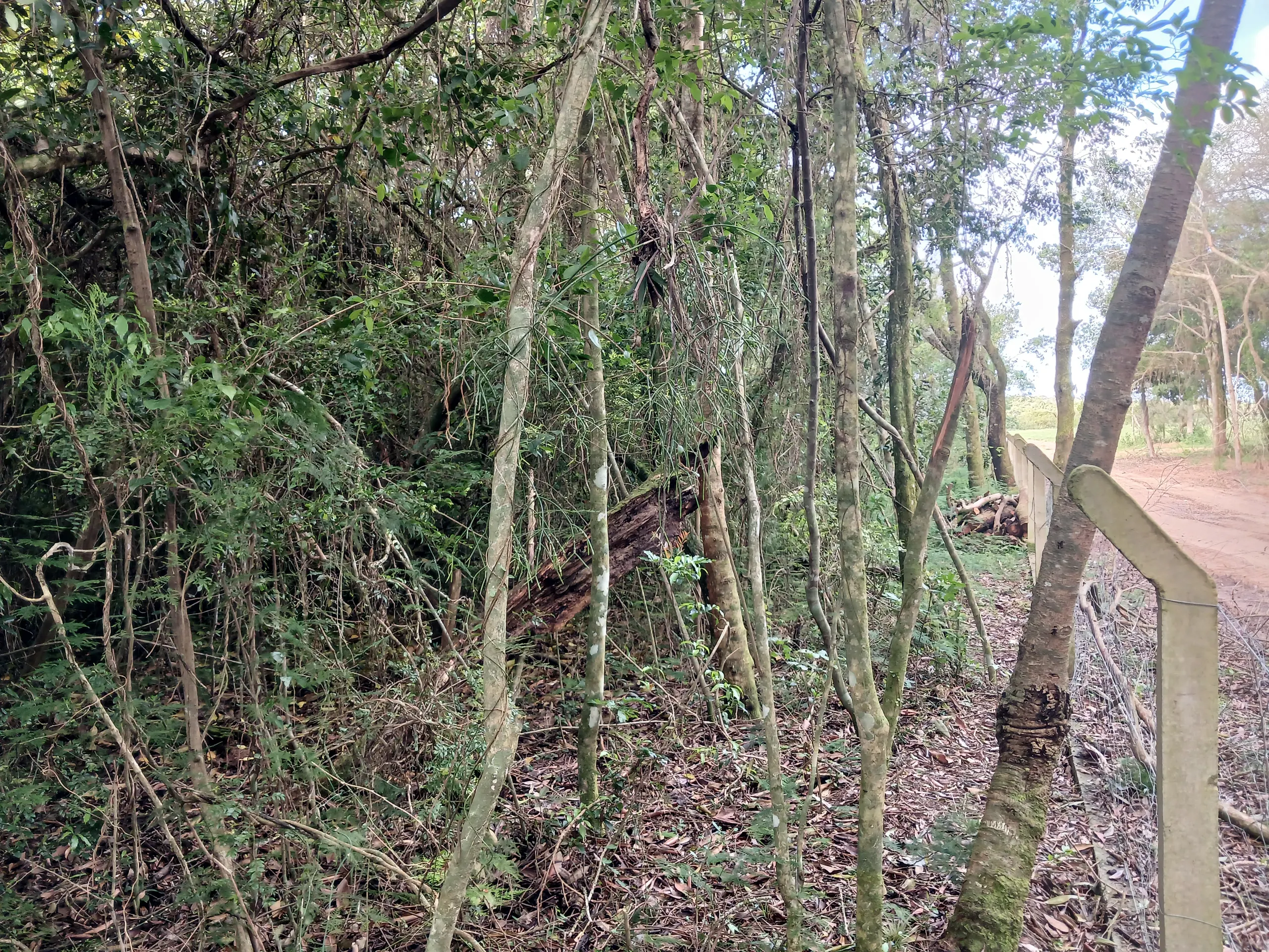 Sítio à venda de 1 ha em Viamão, RS, Brasil