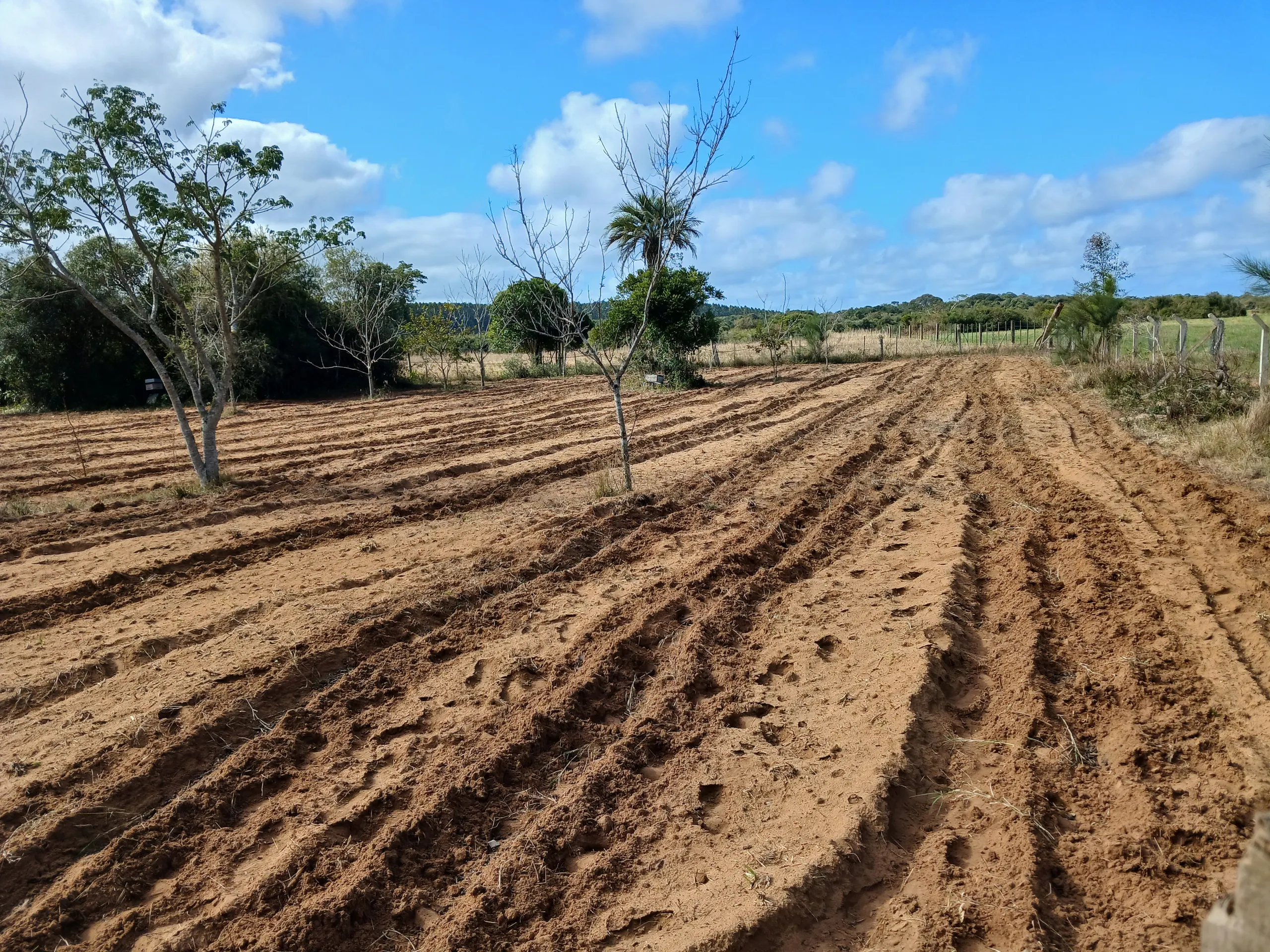 Sítio à venda de 1 ha em Viamão, RS, Brasil