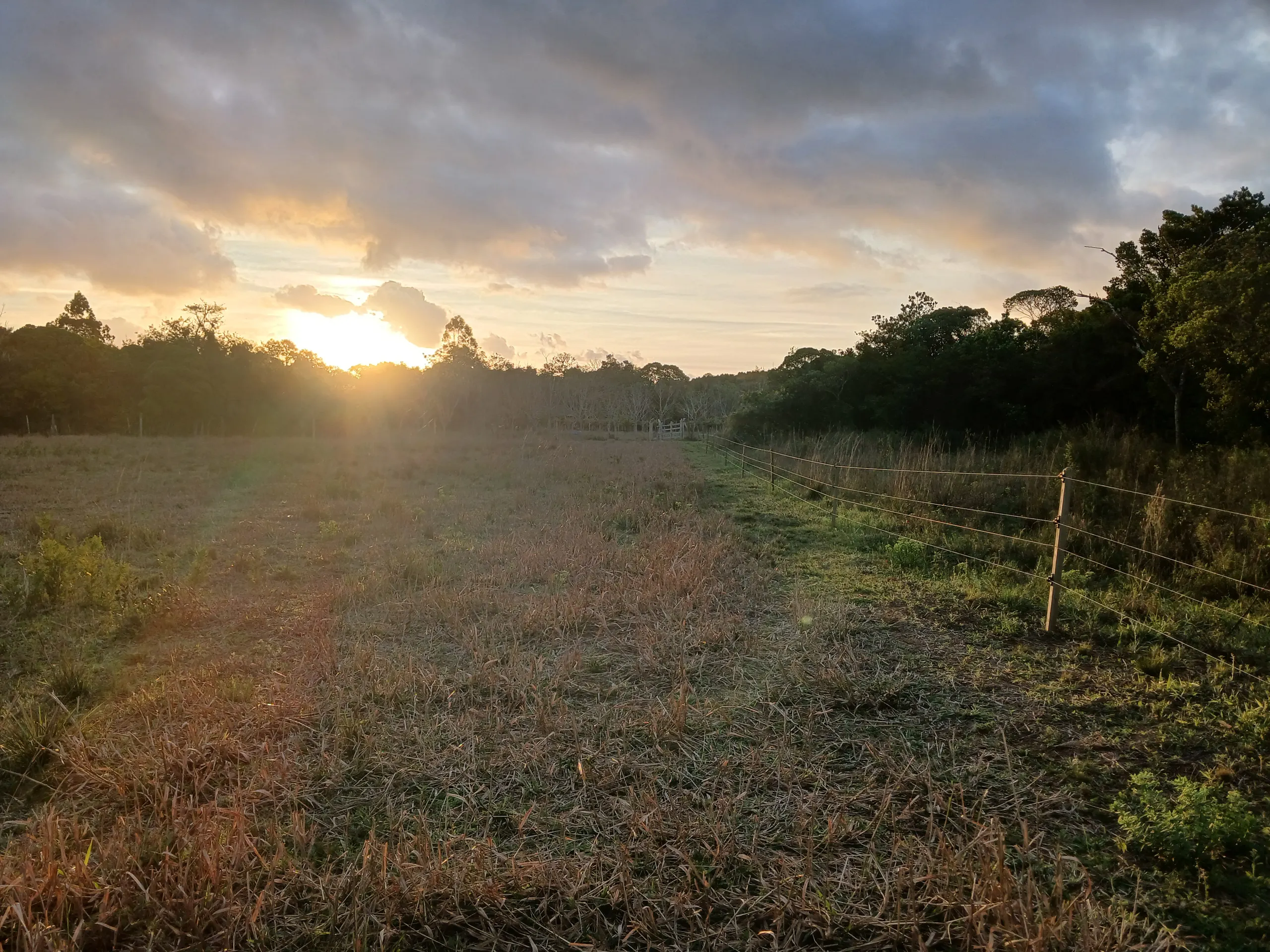 Sítio à venda de 1 ha em Viamão, RS, Brasil