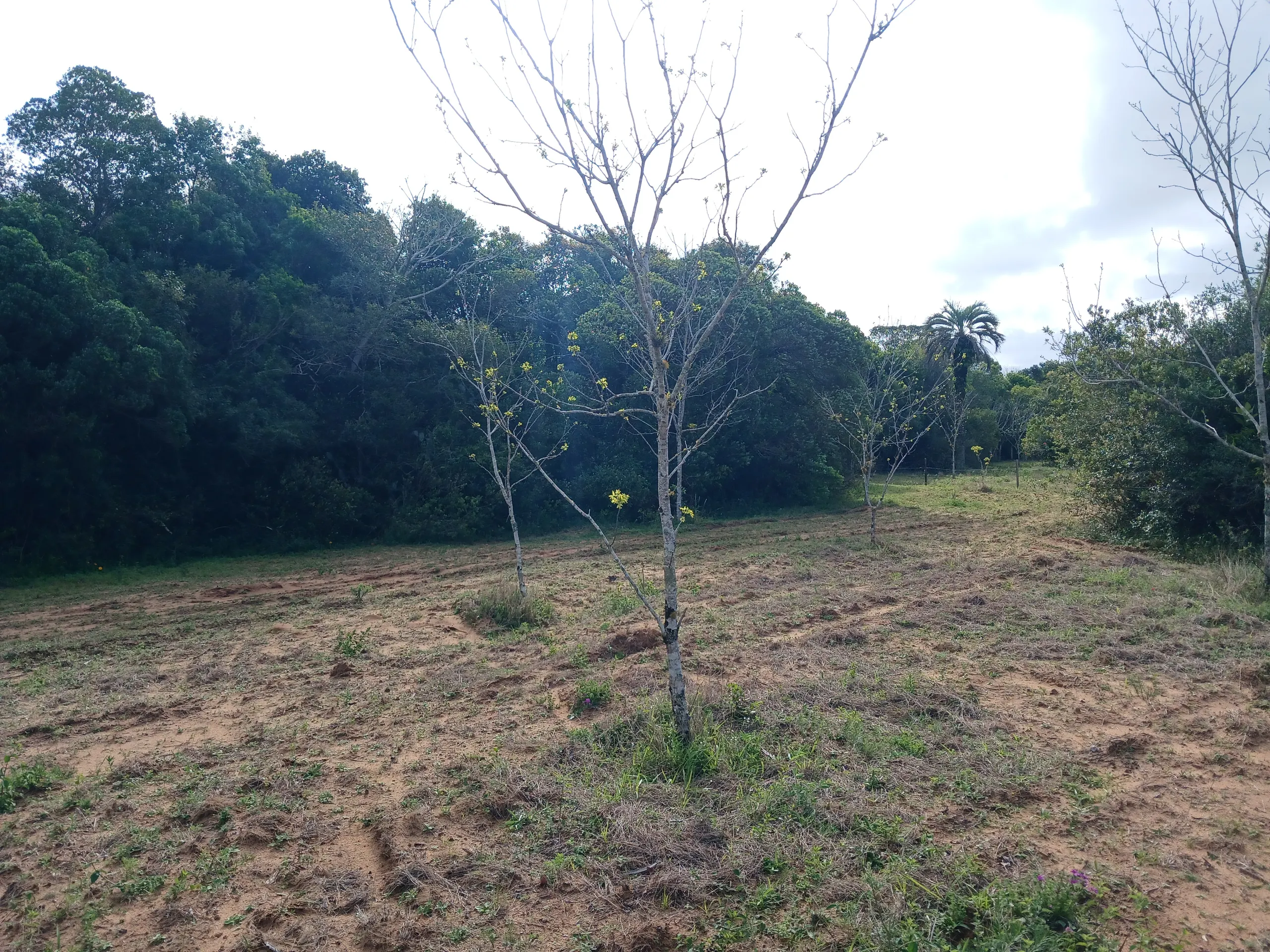 Sítio à venda de 1 ha em Viamão, RS, Brasil