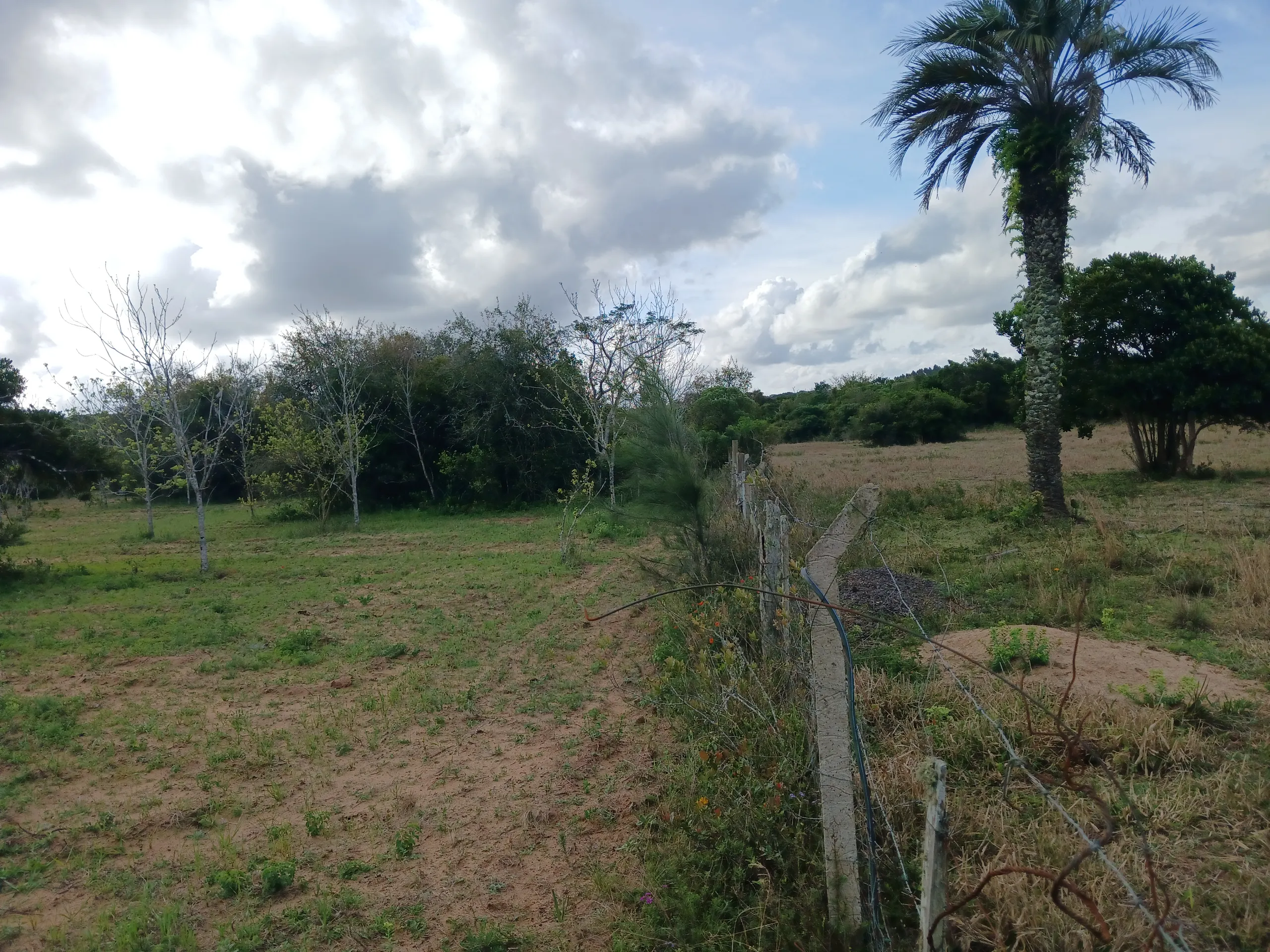 Sítio à venda de 1 ha em Viamão, RS, Brasil