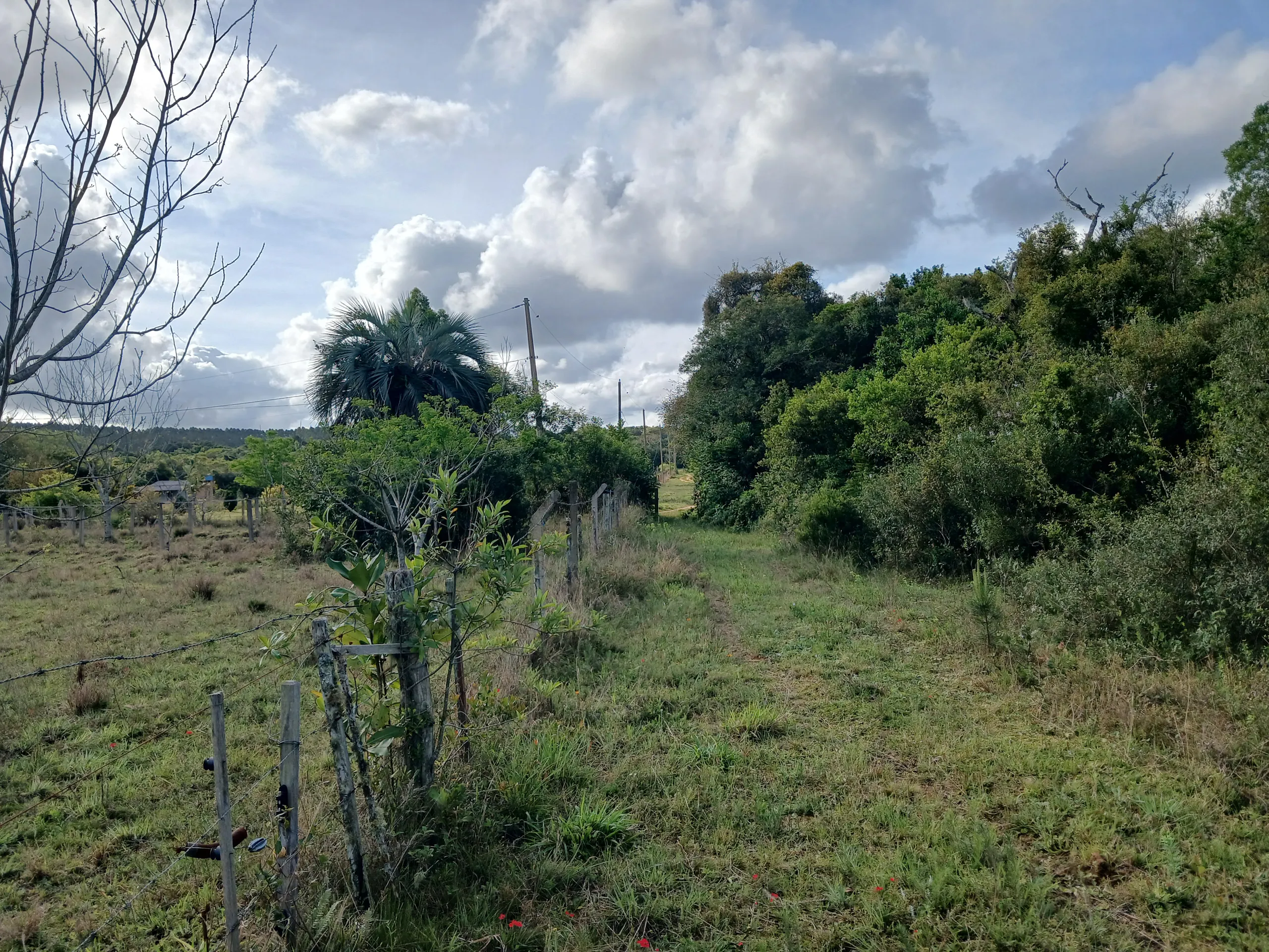 Sítio à venda de 1 ha em Viamão, RS, Brasil