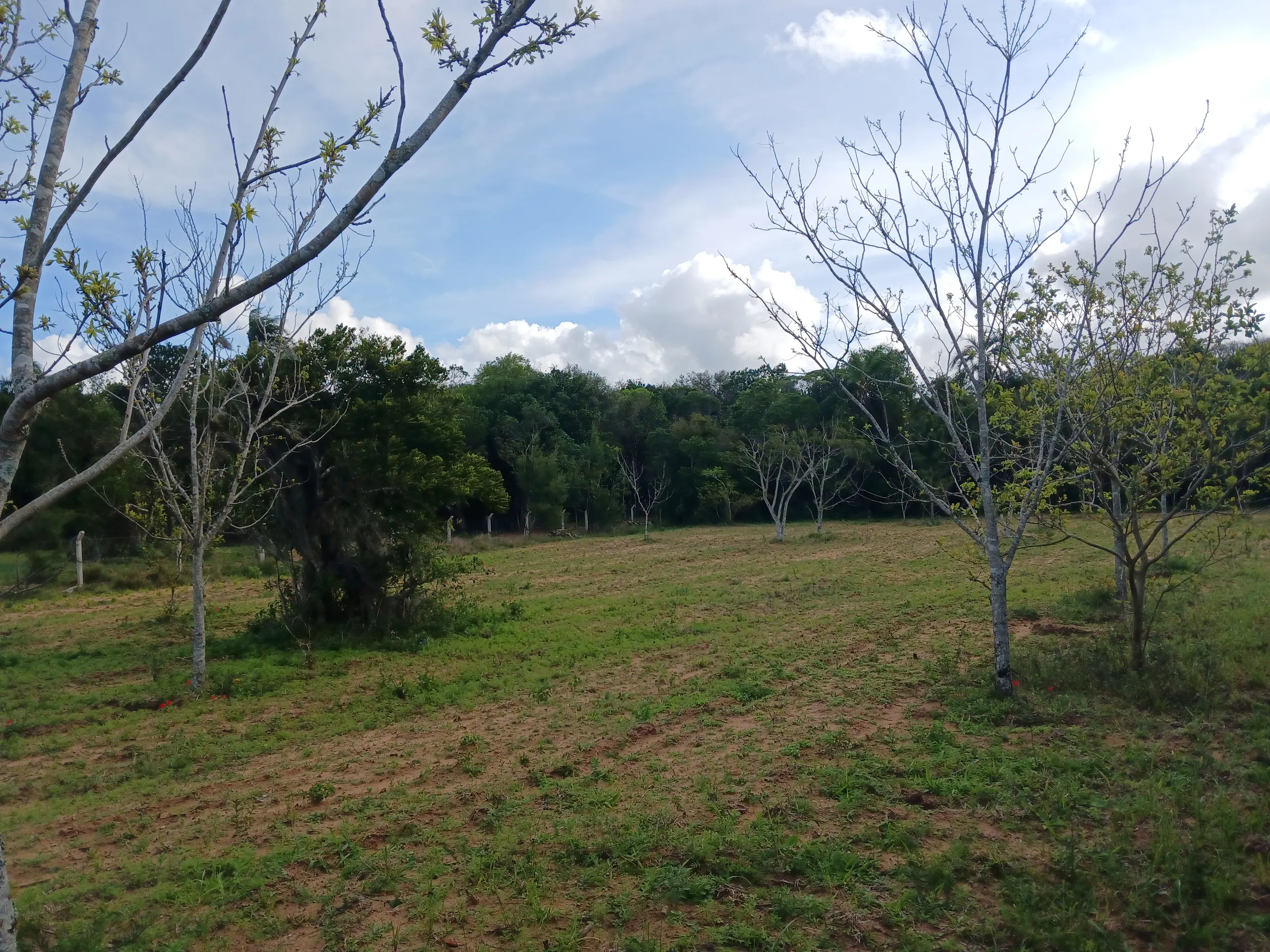 Sítio à venda de 1 ha em Viamão, RS, Brasil