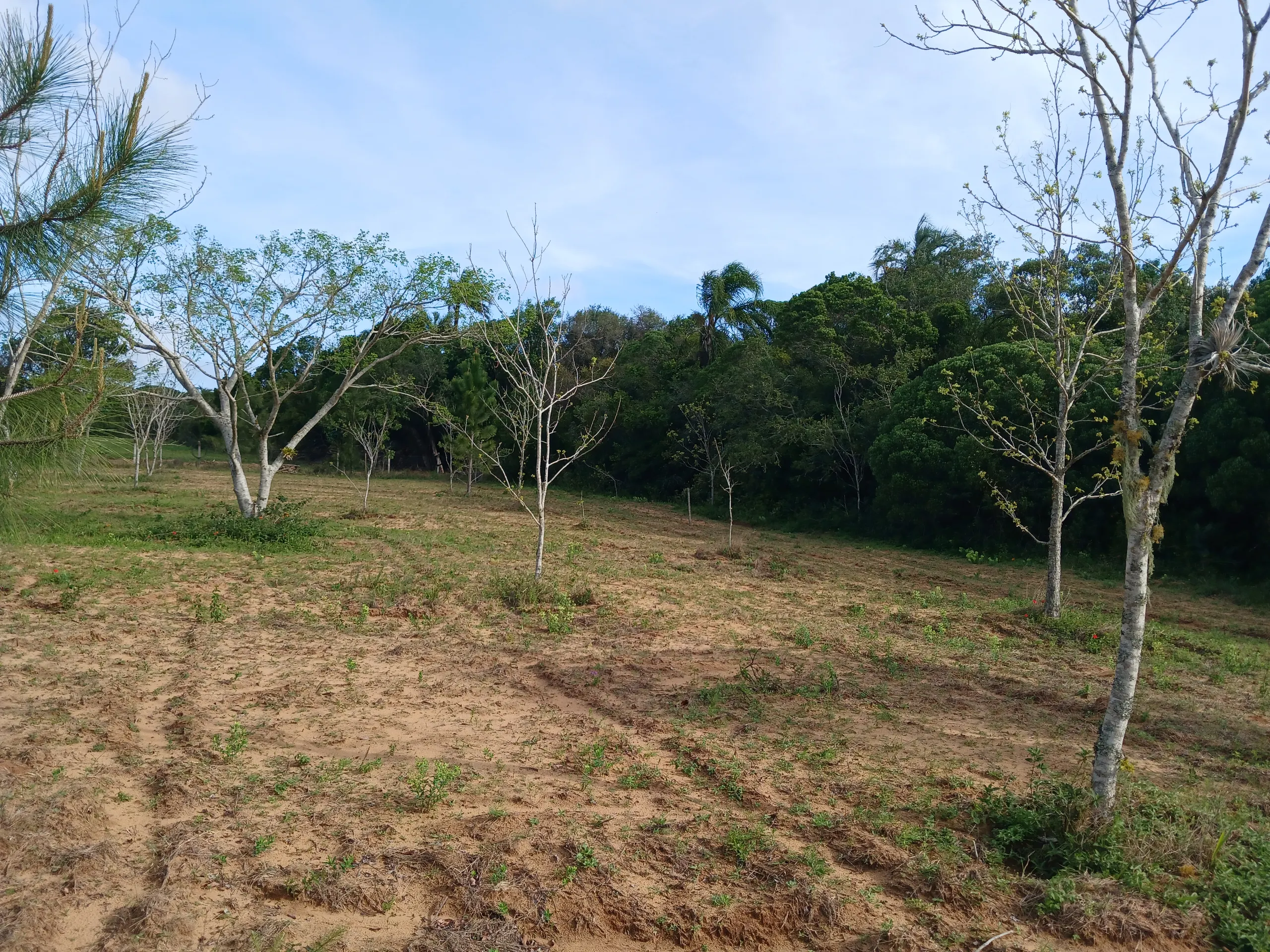 Sítio à venda de 1 ha em Viamão, RS, Brasil