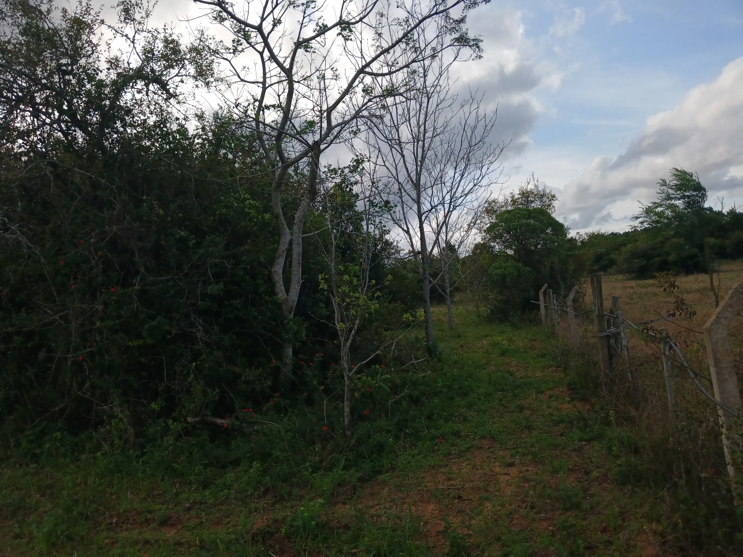 Sítio à venda de 1 ha em Viamão, RS, Brasil
