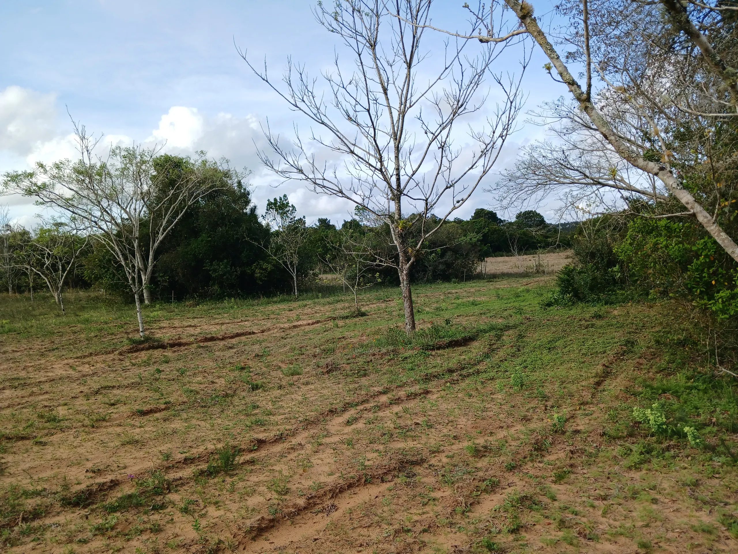 Sítio à venda de 1 ha em Viamão, RS, Brasil