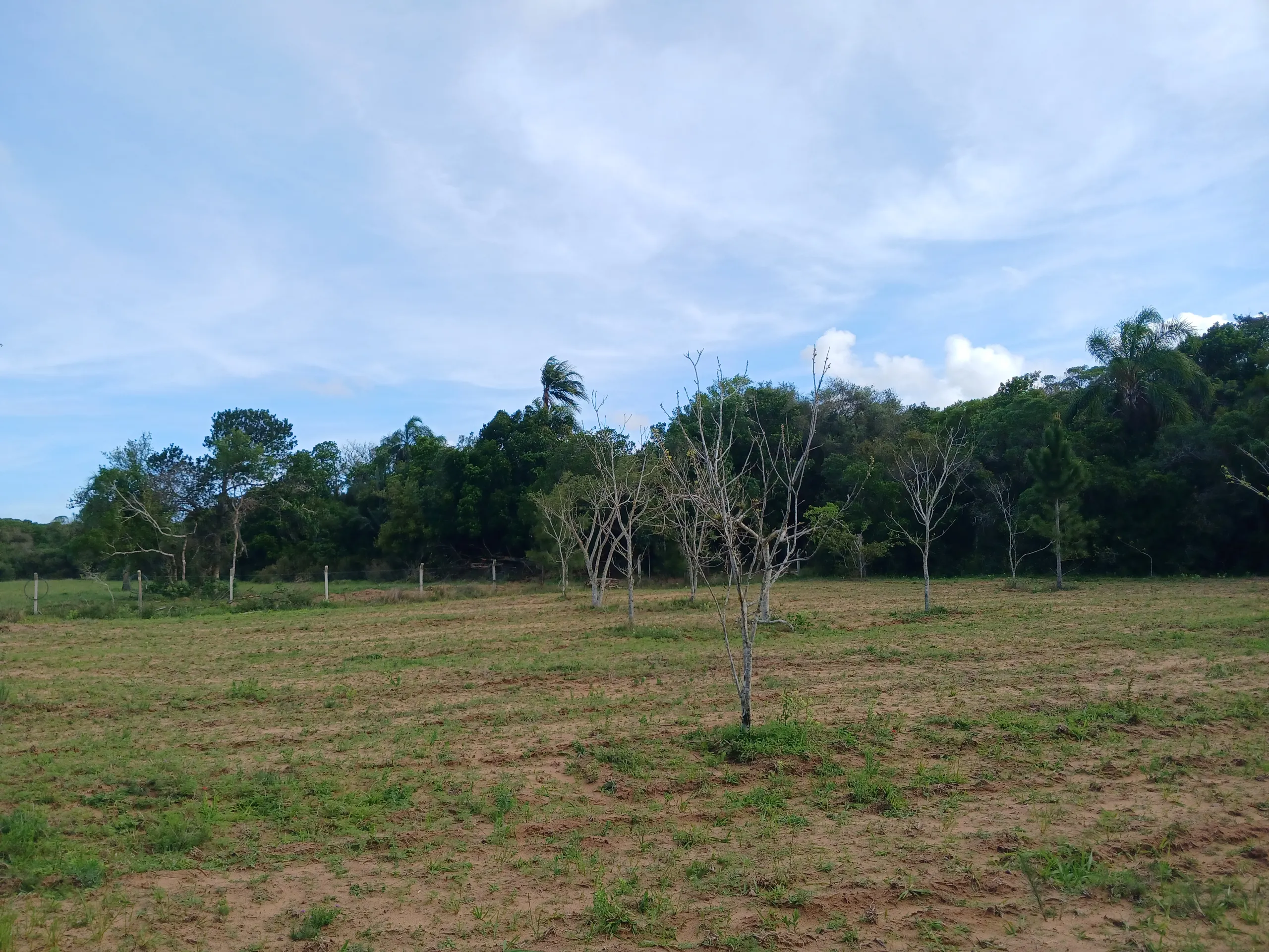Sítio à venda de 1 ha em Viamão, RS, Brasil