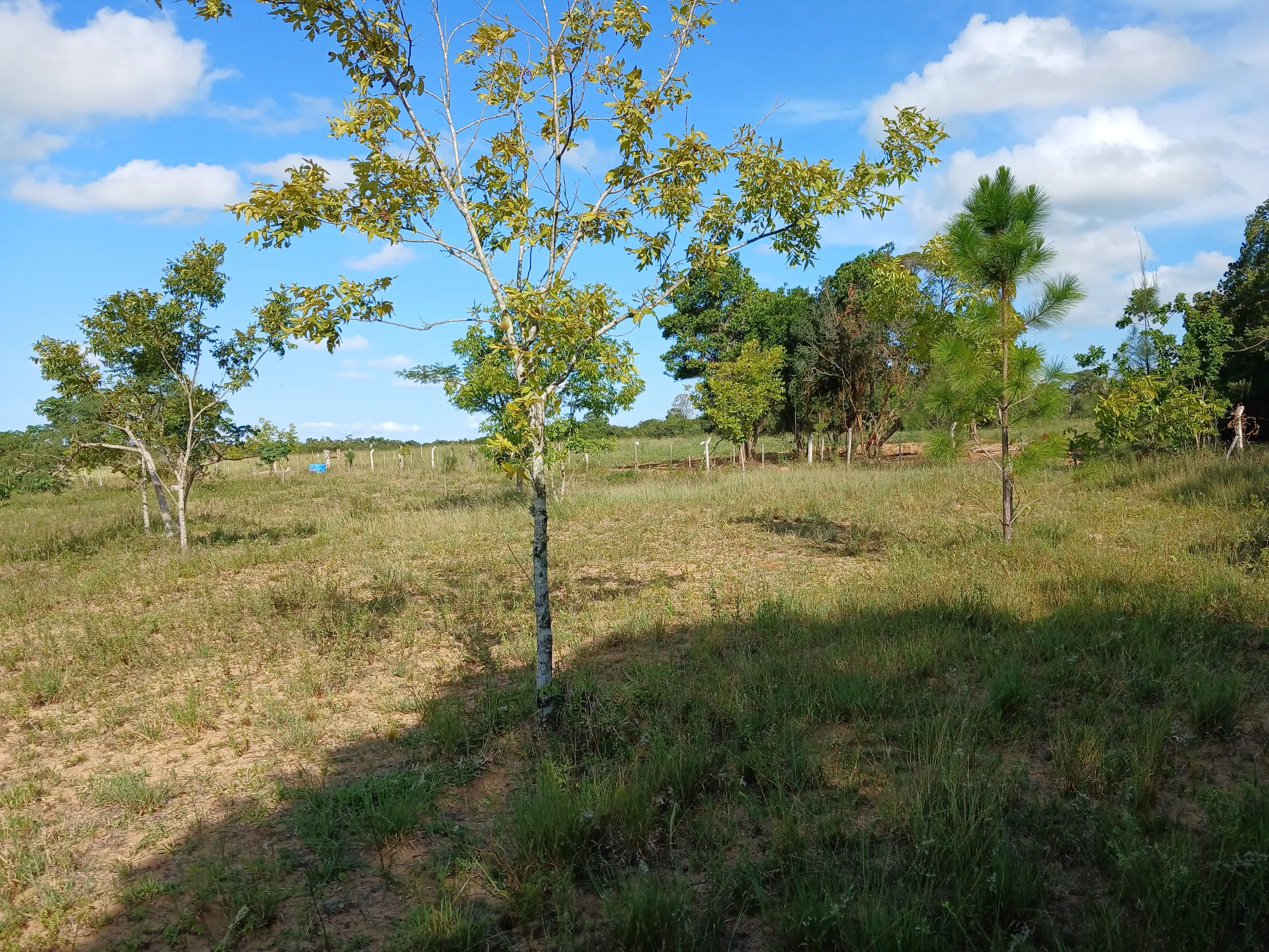 Sítio à venda de 1 ha em Viamão, RS, Brasil