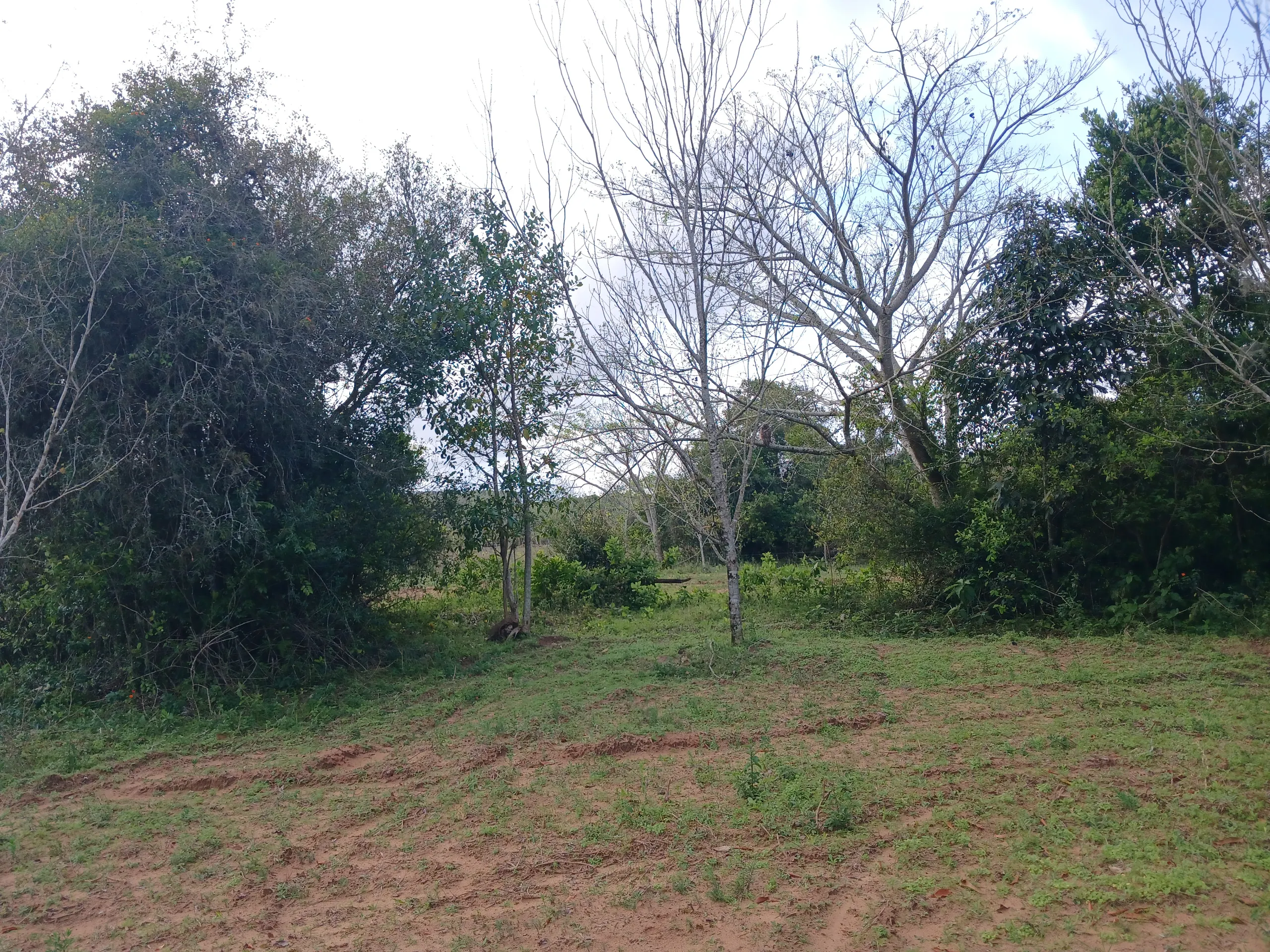 Sítio à venda de 1 ha em Viamão, RS, Brasil