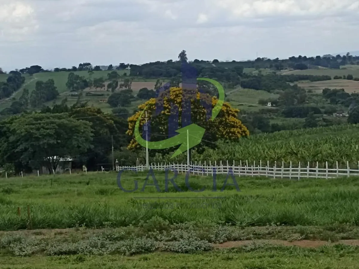 Sítio à venda de 4 ha em Mogi Mirim, SP, Brasil