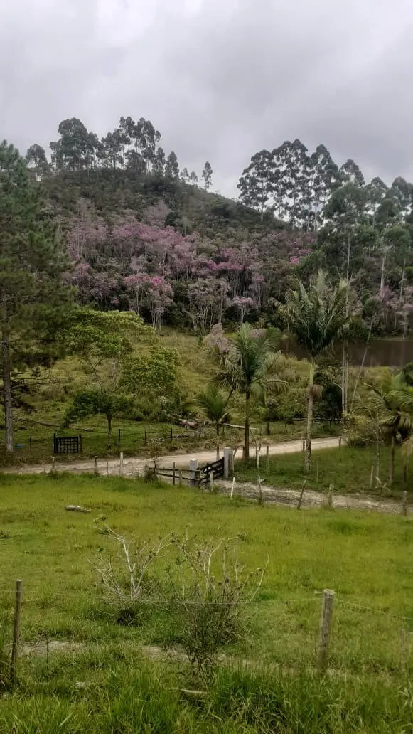 Small farm for sale of 90 acres in São Luiz do Paraitinga, SP, Brazil