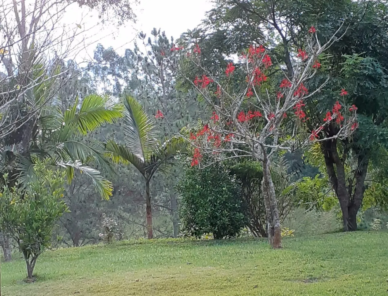 Small farm for sale of 90 acres in São Luiz do Paraitinga, SP, Brazil