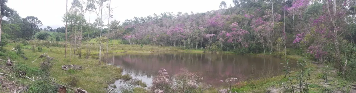 Small farm for sale of 90 acres in São Luiz do Paraitinga, SP, Brazil