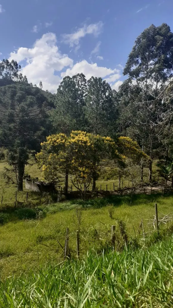 Small farm for sale of 90 acres in São Luiz do Paraitinga, SP, Brazil