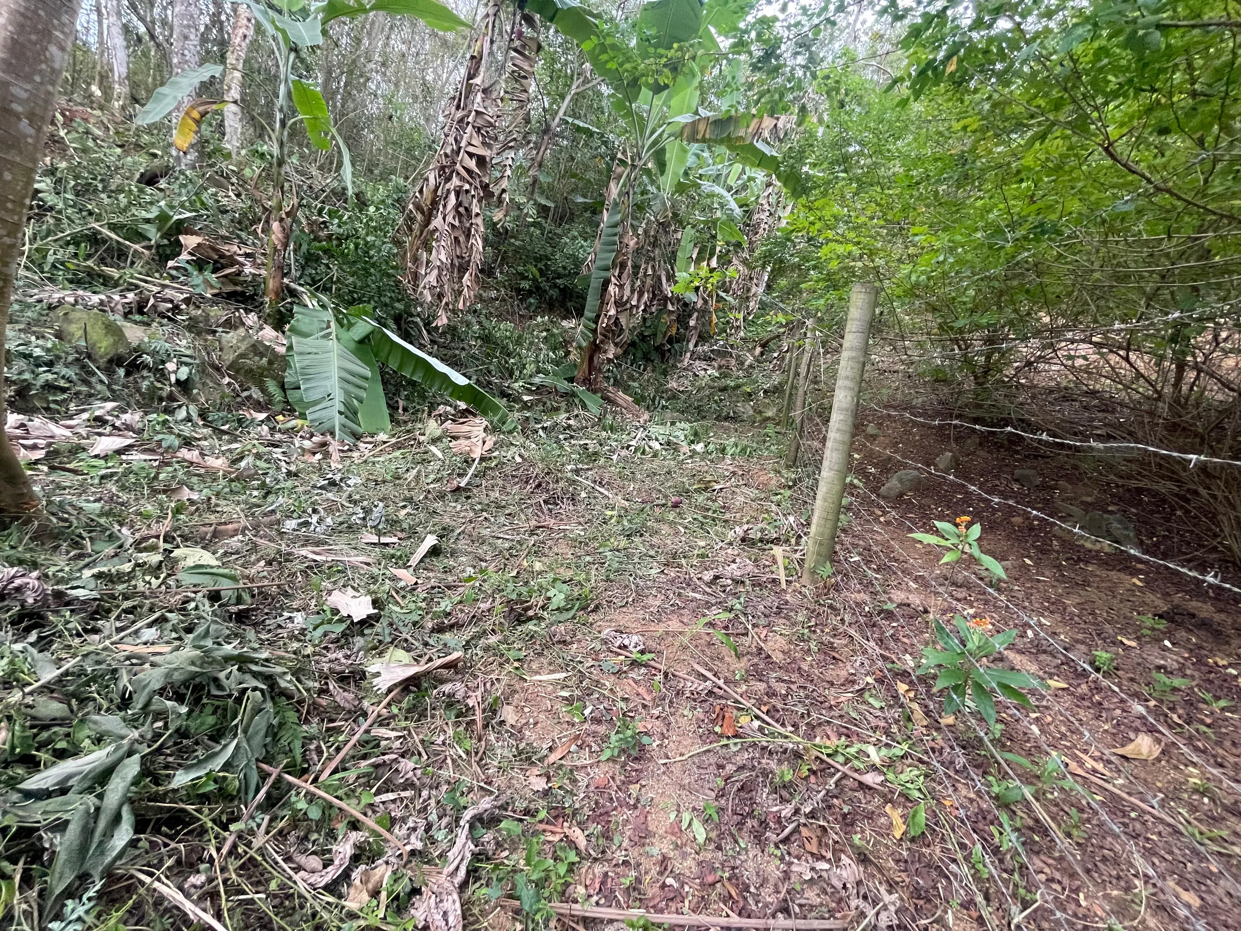 Terreno à venda de 450 m² em Rio de Janeiro, RJ, Brasil