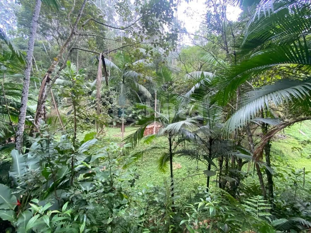 Fazenda à venda de 13 ha em Botuverá, SC, Brasil