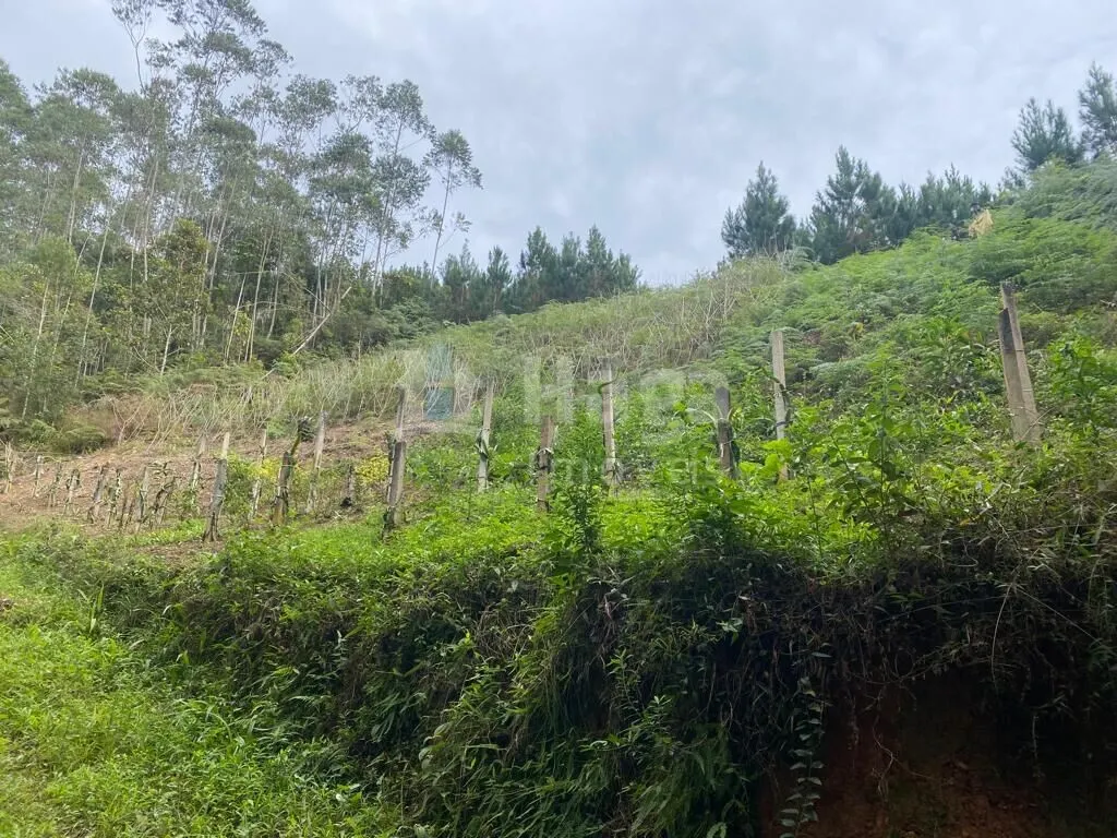 Fazenda à venda de 13 ha em Botuverá, SC, Brasil