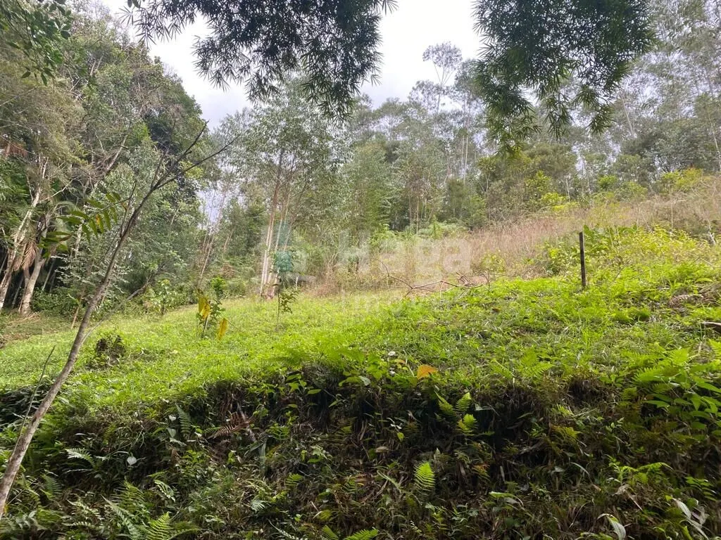 Fazenda à venda de 13 ha em Botuverá, SC, Brasil