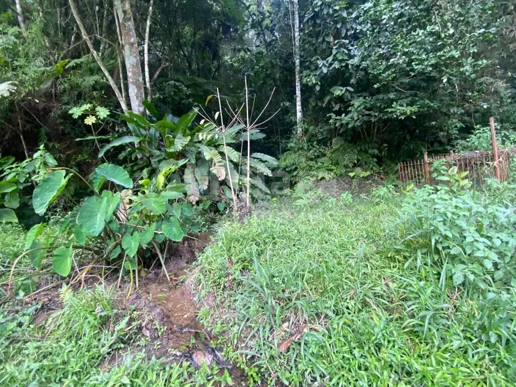 Fazenda à venda de 13 ha em Botuverá, SC, Brasil