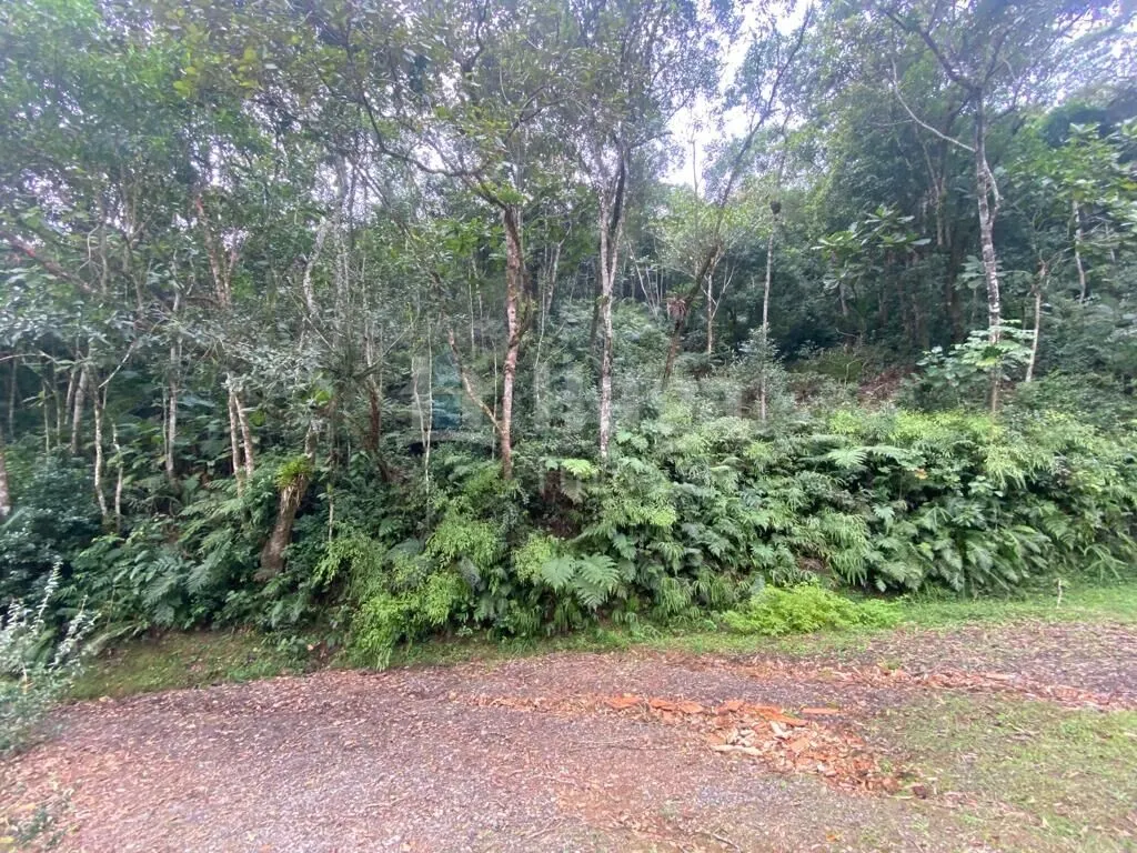 Fazenda à venda de 13 ha em Botuverá, SC, Brasil