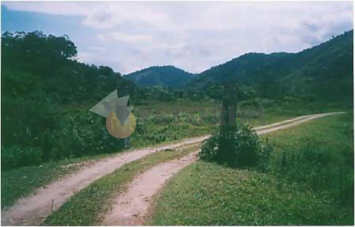 Sítio à venda de 25 ha em Caraguatatuba, SP, Brasil