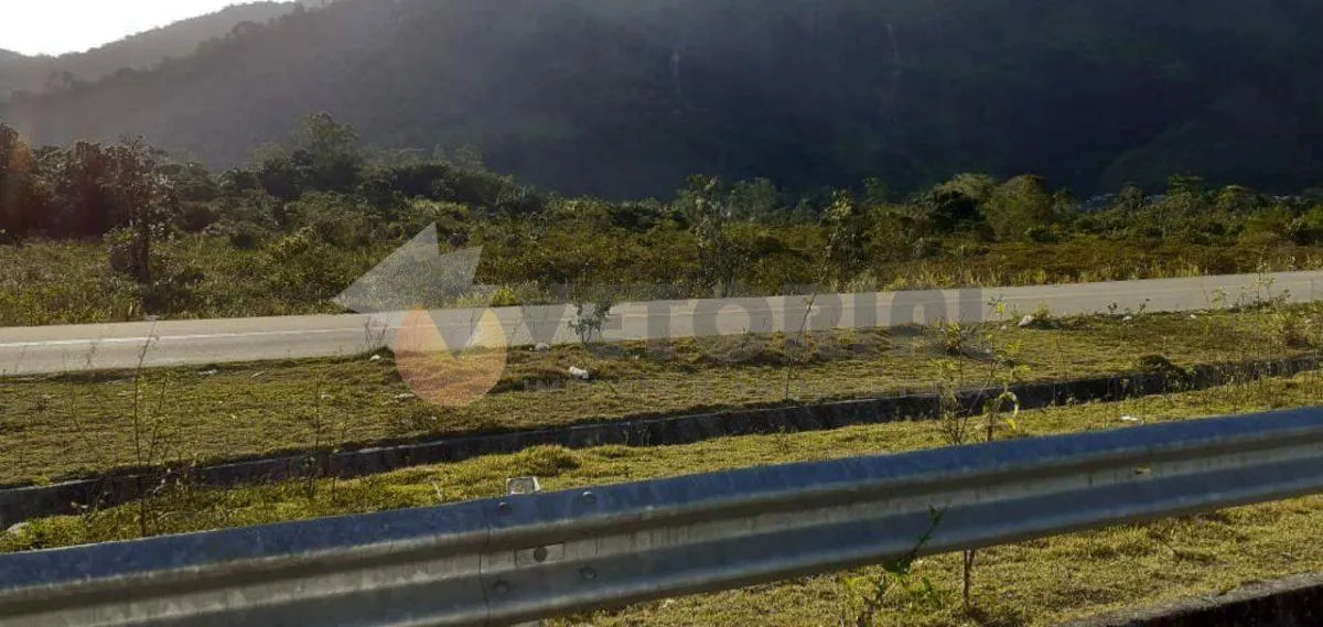 Sítio à venda de 25 ha em Caraguatatuba, SP, Brasil