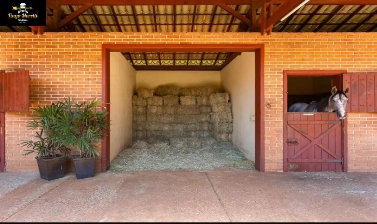 Fazenda à venda de 52 ha em Cesário Lange, SP, Brasil