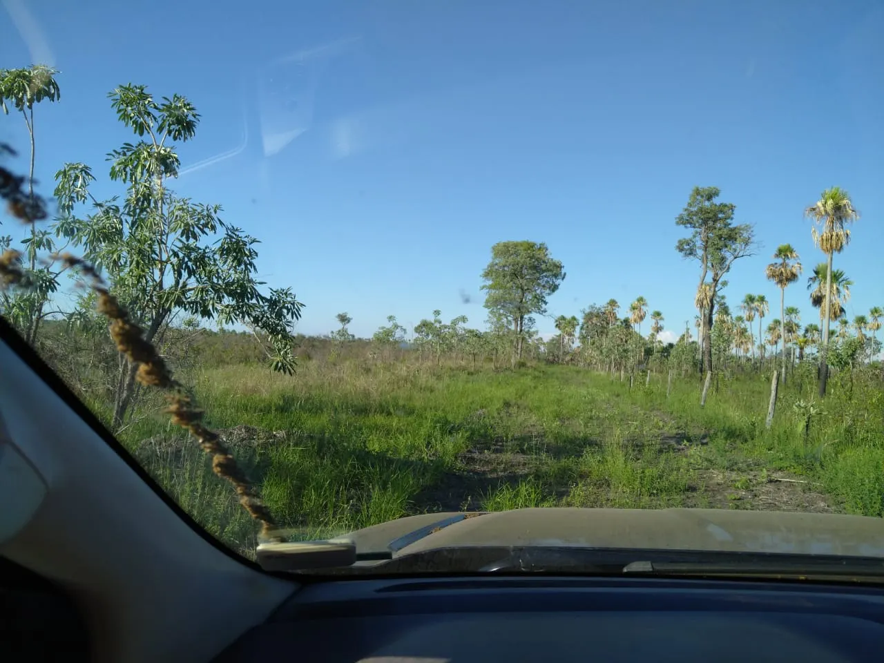 Fazenda à venda de 4.060 ha em Corumbá, MS, Brasil
