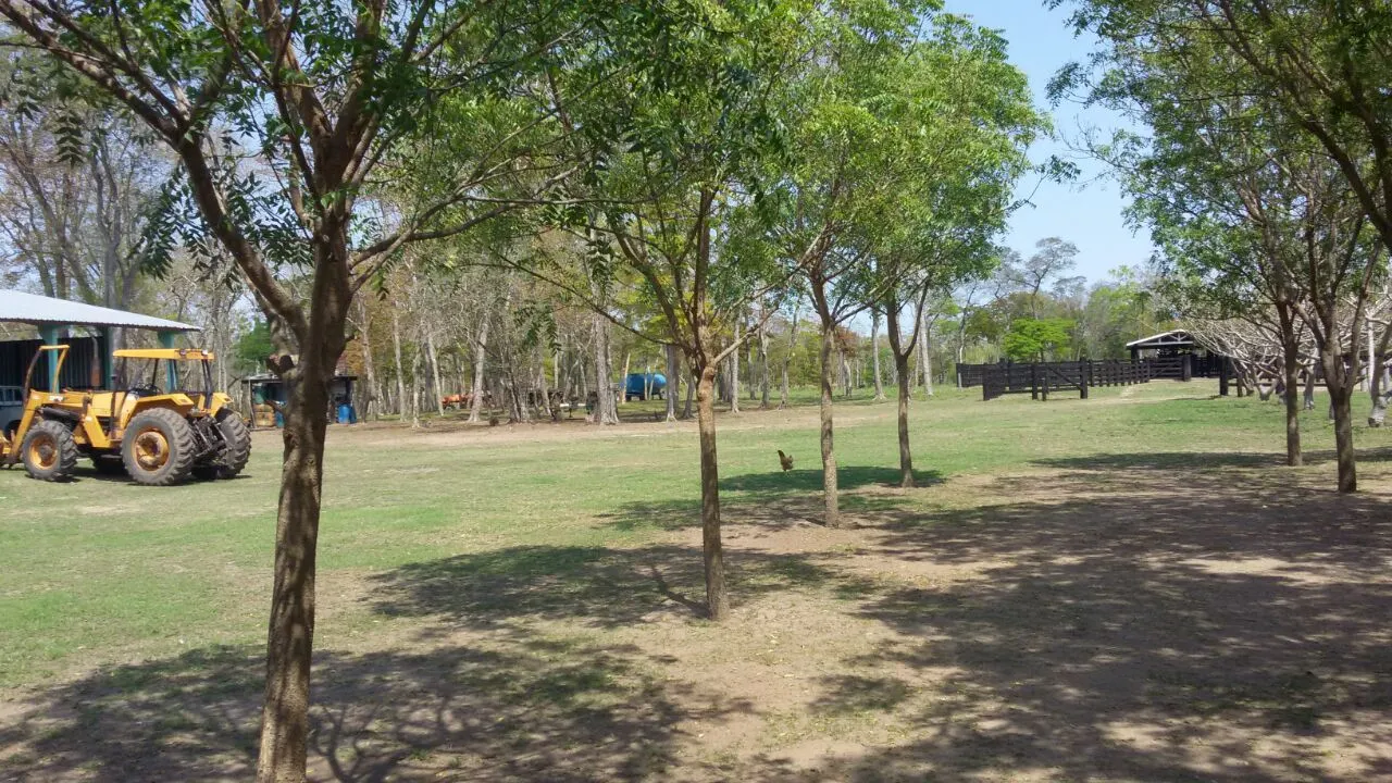 Fazenda à venda de 4.060 ha em Corumbá, MS, Brasil