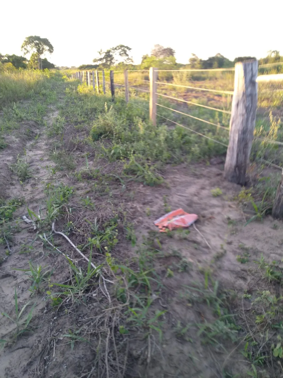 Fazenda à venda de 4.060 ha em Corumbá, MS, Brasil