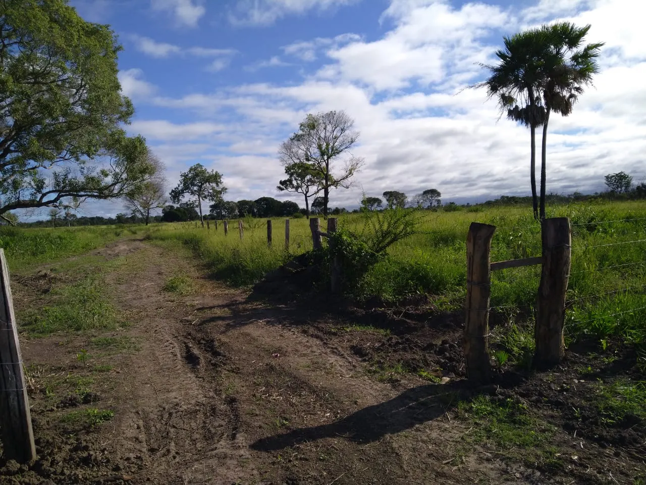 Fazenda à venda de 4.060 ha em Corumbá, MS, Brasil