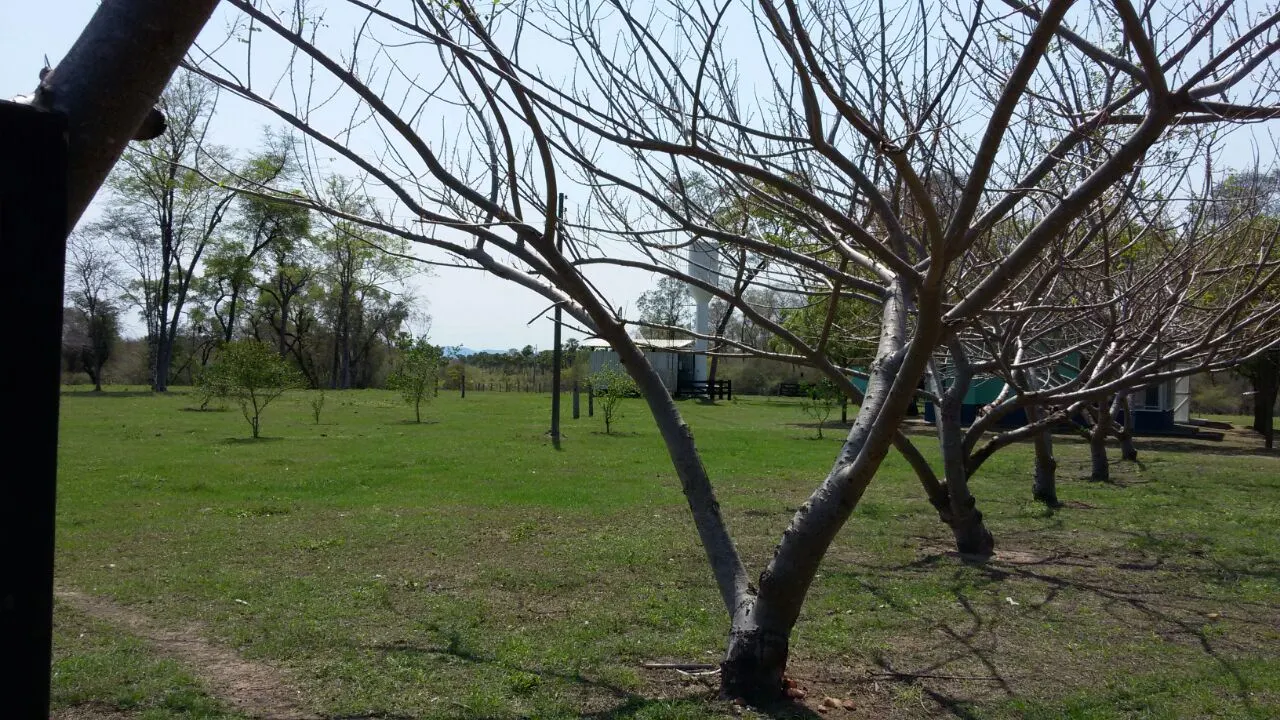 Fazenda à venda de 4.060 ha em Corumbá, MS, Brasil