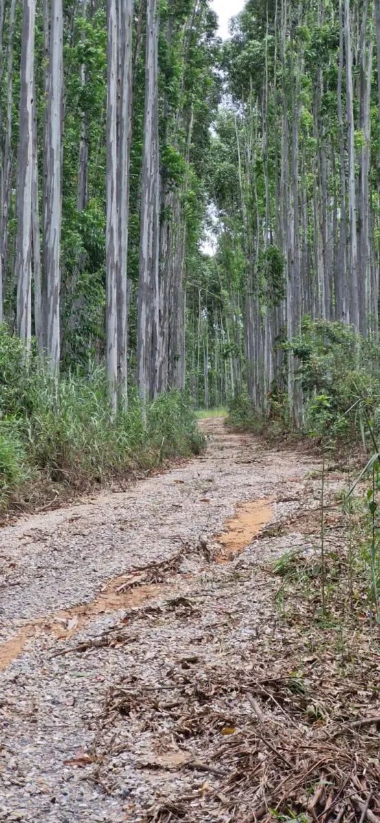 Chácara à venda de 500 m² em Alumínio, SP, Brasil